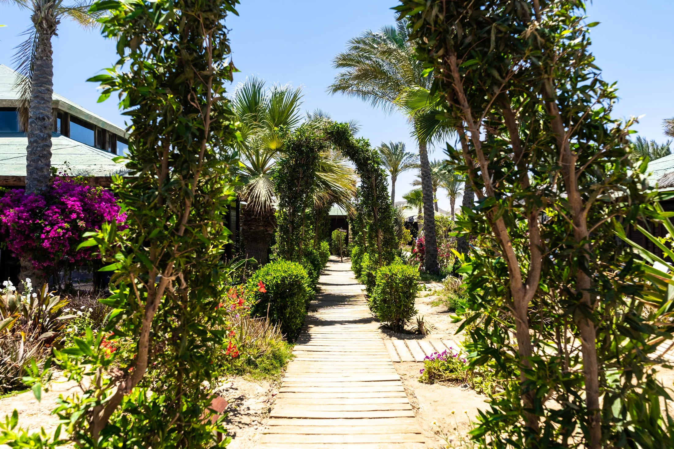Abu Dabbab Diving Lodge — photo 19
